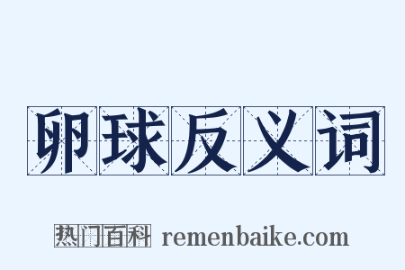 卵球反义词是什么意思的图片